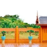 Scopri il metodo passo passo su come creare un bonsai di quercia e trasformare il tuo giardino in un'opera d'arte vivente