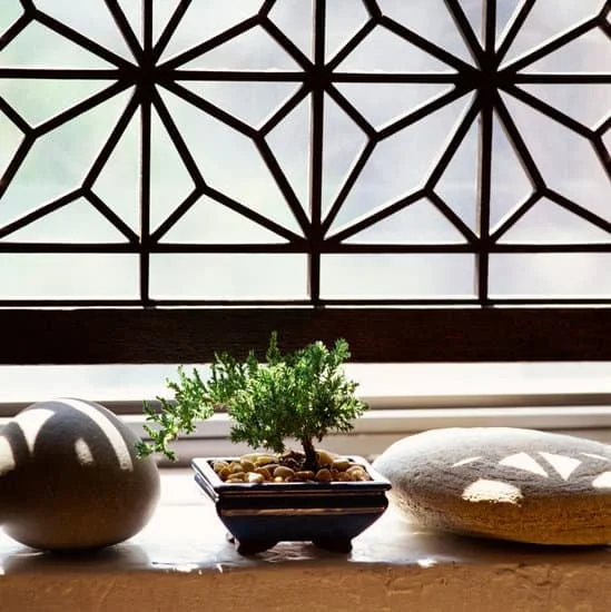 Come Accudire Bonsai in Casa 1 Scopri come accudire bonsai in casa: consigli pratici per garantire la salute e la bellezza di queste piccole meraviglie verdi
