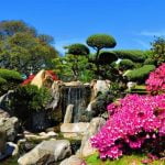 Come Accudire Un Bonsai Scopri come accudire un bonsai con questi semplici consigli per mantenere la sua salute e bellezza