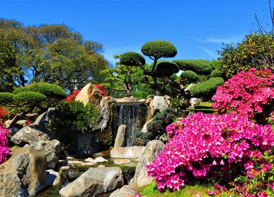 Come Accudire Un Bonsai 9 Scopri come accudire un bonsai con questi semplici consigli per mantenere la sua salute e bellezza