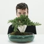 Contare, al Microscopio, le Minuscole Foglie In Un Bonsai Riconferma la Sua Delicata Bellezza