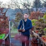 Come Mai Il Bonsai Perde Le Foglie Il bonsai potrebbe perdere le foglie a causa di mancanza di luce solare o irrigazione insufficiente