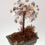 Scopri il significato di regalare un bonsai, un gesto che simboleggia cura e prosperità