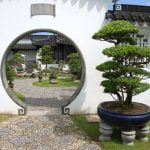 Chi Ha Fatto.I.Bonsai Come Bomboniere Per Comunione Scopri chi ha realizzato i bonsai come bomboniere per la comunione: un'idea unica e originale