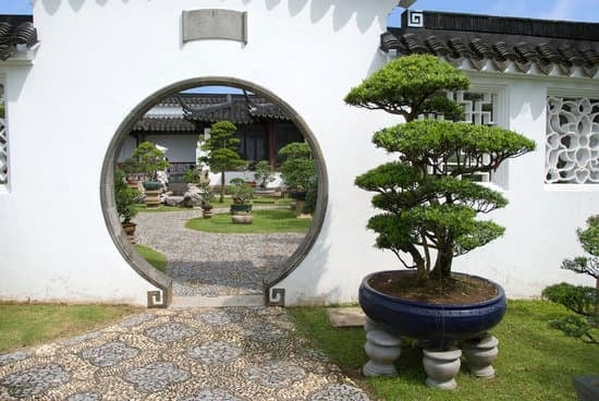 Chi Ha Fatto.I.Bonsai Come Bomboniere Per Comunione 4 Scopri chi ha realizzato i bonsai come bomboniere per la comunione: un'idea unica e originale