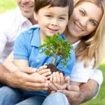 Scopri chi ha realizzato i bonsai come bomboniere per la Comunione in un forum dedicato ai migliori prodotti