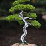 Quando Rinvasare Bonsai Ficus Scopri quando è il momento giusto per rinvasare il tuo bonsai ficus e assicurati una crescita sana e rigogliosa