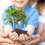 Come Creare Un Bonsai Di Fico Suggerimento: Scegli un albero di fico sano e scolpiscilo con attenzione per creare un magnifico bonsai di fico