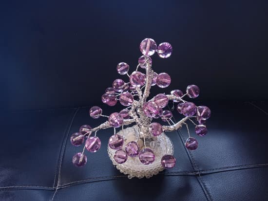 Scopri i migliori punti vendita per acquistare terriccio specifico per bonsai e garantirti il successo della tua coltivazione