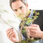 Scopri quando raccogliere bonsai in natura seguendo le stagioni migliori per garantire il successo del tuo progetto