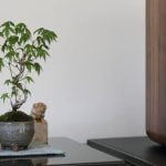 Scegliere il luogo ideale per il tuo bonsai: scopri come e dove mettere il bonsai per garantirne la crescita ottimale