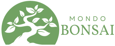 Mondo Bonsai