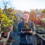 Quante Foglie Ha Un Bonsai Rosso Contare attentamente le foglie del bonsai rosso