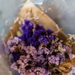 Quando Innaffiare Bonsai Ulivo Ricordati di INNAFFIARE il tuo BONSAI ULIVO quando il terreno è leggermente asciutto