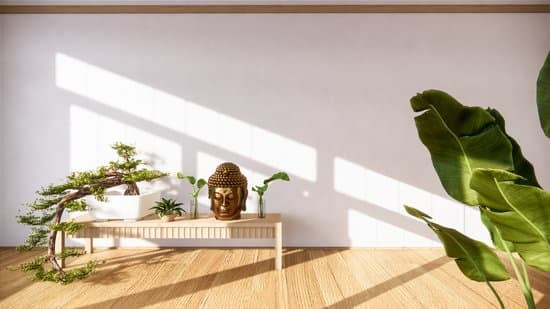 Come Potare Un Ficus Beniamino Bonsai 19 Guida pratica su come potare un ficus beniamino bonsai per mantenerne la forma e la salute