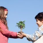 Quando Potare Il Bonsai Ficus Ginseng Scopri quando potare il bonsai Ficus Ginseng per mantenerlo sano e armonioso