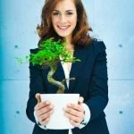 Guida pratica: come prendersi cura del bonsai Ficus Ginseng