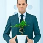 Quanto Costa Un Bonsai Da Interno Scopri quanto costa un bonsai da interno e investi nel tuo ambiente domestico