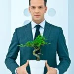 Scopri quanto costa un bonsai da interno e investi nel tuo ambiente domestico