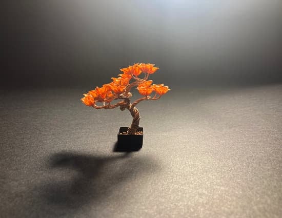 Come Usare Il Filo Ramato Su Bonsai 1 Utilizzare il filo ramato su bonsai richiede precisione e pratica