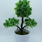 Dove Trovare Terriccio Per Rinvaso Bonsai I migliori punti vendita di terriccio per rinvaso bonsai nelle vicinanze