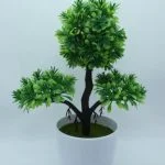 I migliori punti vendita di terriccio per rinvaso bonsai nelle vicinanze