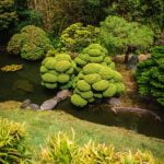 Quale Filo Per Bonsai Scopri quale filo per bonsai è il migliore per la crescita sana e robusta delle tue piante