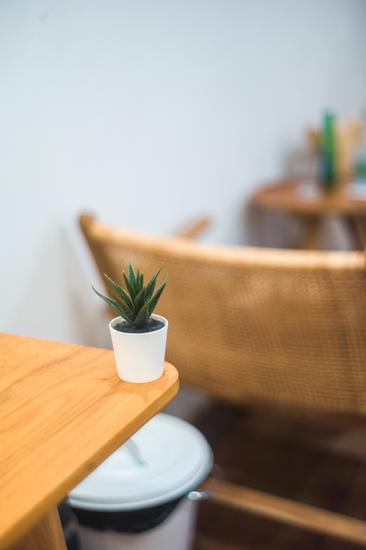 Che Tipo Di Vaso Per Bonsai Di Quercia 1 Scegli un vaso di ceramica per bonsai di quercia