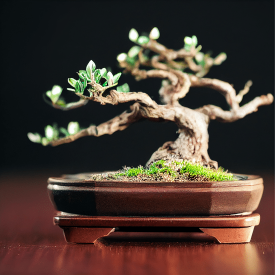 Come.Fare Un Bonsai 1 Come fare un bonsai: guida passo dopo passo per coltivare e curare il tuo bonsai con successo