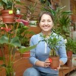 Come Avere Cura Dei Bonsai Scopri come avere cura dei bonsai con i nostri consigli esperti