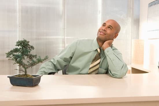 Scopri come fare crescere semi di bonsai con questi semplici passaggi