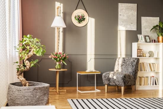 Come Si Nutrono I Bonsai 11 Scopri come si nutrono i bonsai: consigli per un'adeguata alimentazione e fertilizzazione