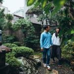 Guida dettagliata su come trapiantare un bonsai ginseng in vaso o in giardino