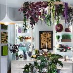 Come Costruire Un Bonsai Guida dettagliata su come costruire un bonsai con passi semplici e consigli utili