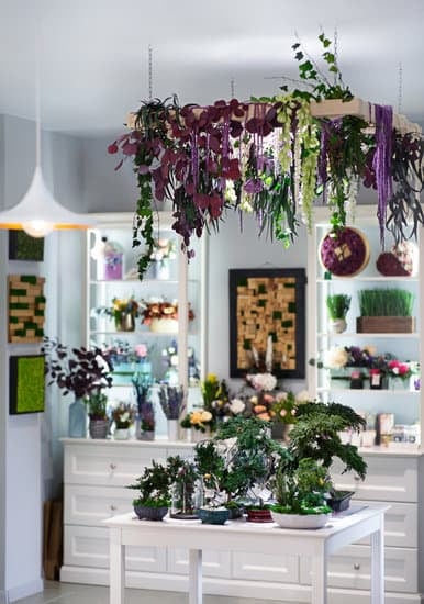 Guida dettagliata su come costruire un bonsai con passi semplici e consigli utili