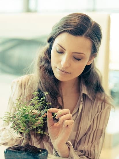 Come Capire Quando Innaffiare Un Bonsai 1 Segui le istruzioni per capire quando innaffiare un bonsai