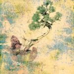 Scopri quando concimare il bonsai per favorirne la crescita e la salute