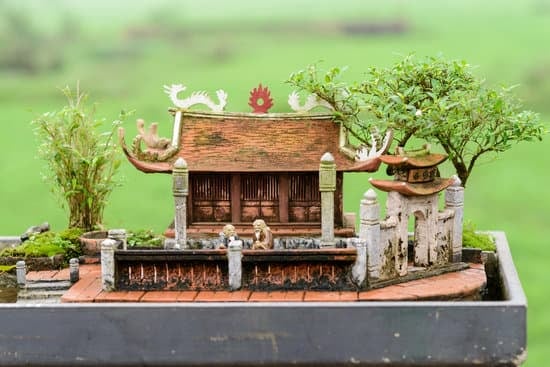 Come Semina Bonsai Melo 1 Guida dettagliata per la semina del bonsai del melo