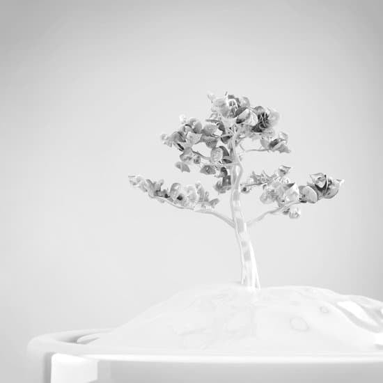 Come Creare Un Bonsai Di Peperoncino 1 Guida dettagliata: Come creare un bonsai di peperoncino