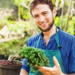 Come Sistemare I Bonsai in Giardino Con I Bancali Come sistemare i bonsai in giardino con i bancali: guida pratica e consigli utili