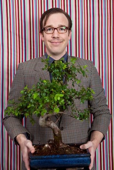 Come Ingrossare Il Fusto Del Bonsai 1 Utilizza concimi specifici per favorire l'ingrossamento del fusto del bonsai.