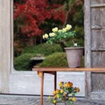 Rinvaso Bonsai Scopri i segreti del rinvaso bonsai per una crescita sana e rigogliosa