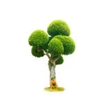 Come eliminare la muffa dalla terra del bonsai: consigli efficaci