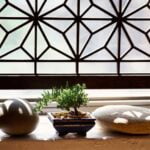 Bonsai Ficus Foglie Gialle Bonsai ficus: cura le foglie gialle con più luce e meno acqua