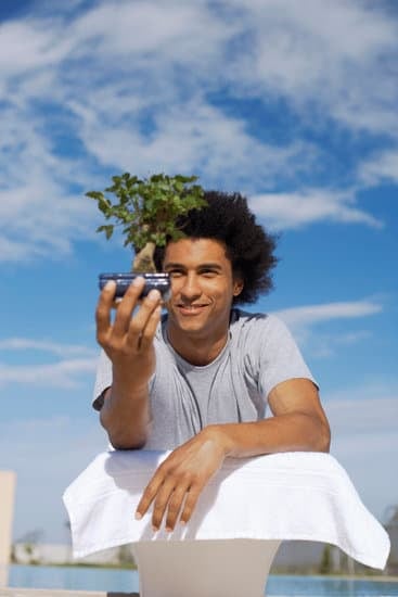 Cura Bonsai Ficus 1 Segreti per la cura del bonsai ficus: come mantenere la salute della pianta in modo efficace