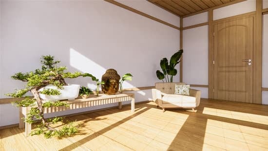 Bonsai Ginseng Cura 1 Bonsai Ginseng Cura: consigli per la cura e la manutenzione del tuo bonsai ginseng