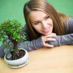 Coltiva il tuo boschetto bonsai con cura e passione per un risultato mozzafiato