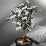 Bonsai Bomboniera Regala un BONSAI BOMBONIERA: un dono di natura e armonia in un unico elegante pacchetto