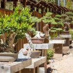 Esplora la bellezza di San Teodoro alloggiando al confortevole Hotel Bonsai, vicino alle spiagge e al centro cittadino