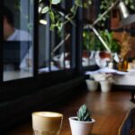 Quanto Tempo Impiega Un Seme Di Bonsai a Crescere Scopri in quanti mesi un seme di bonsai cresce